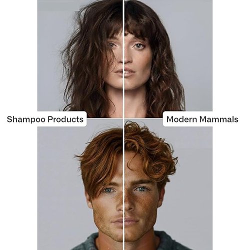 Modern Mammals Men's Shampoo Alternative - Sulfate-Free CoWash for Enhanced Hair Volume | 8oz Bottle