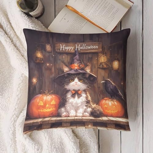 Fall Cartoon Kitten Pumpkin Halloween Throw Pillow Covers Set 20x20 - Pack of 4