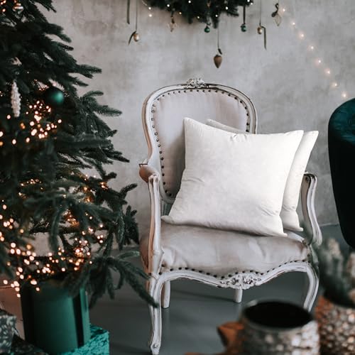 Set of 2 Square Feather Down Decorative Throw Pillows - Halloween & Christmas Customizable Home Decor