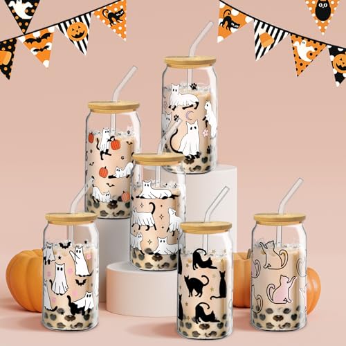 Halloween Glass Cups with Lids & Straws - Black Cat Design, 6 Pack, 16oz, Halloween Cats Variation