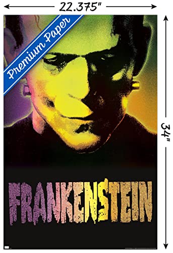 Frankstein Close-Up Wall Poster - Premium Unframed 34" x 22.4"