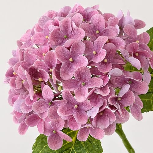 Dark Pink Artificial Hydrangea Flowers 20-Inch 4-Pack for Wedding & Home Decor