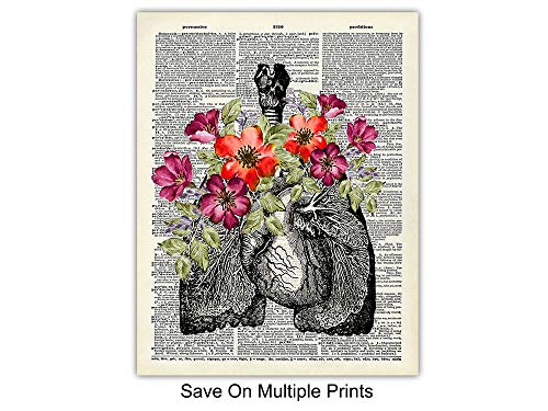 Human Anatomy Wall Art Prints Set - 8x10 Unframed Medical Decor for Office & Home - Skull Brain Lungs Kidneys Liver - Shabby Chic Gift for Doctors & Nurses