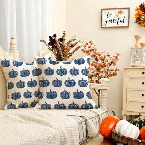 Outdoor Pillow Covers 18x18 Waterproof Blue Pumpkin Set of 2 Fall Decor