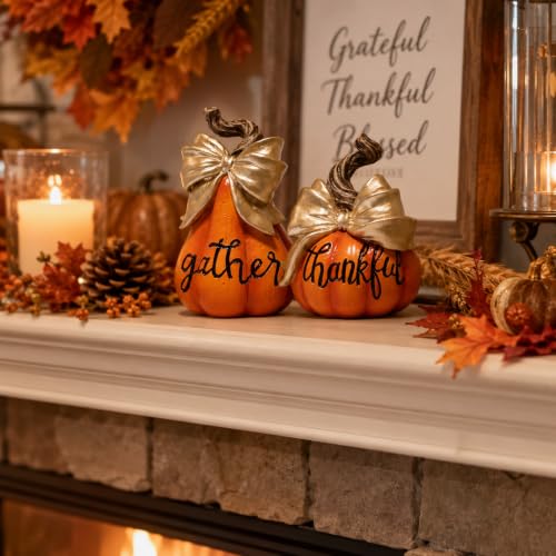 Harvest Pumpkin Duo Thanksgiving Fall Decor - Gather & Thankful Set