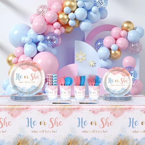 Pink Gender Reveal Paper Plates Napkins Party Set Serves 24 - AIBIIN
