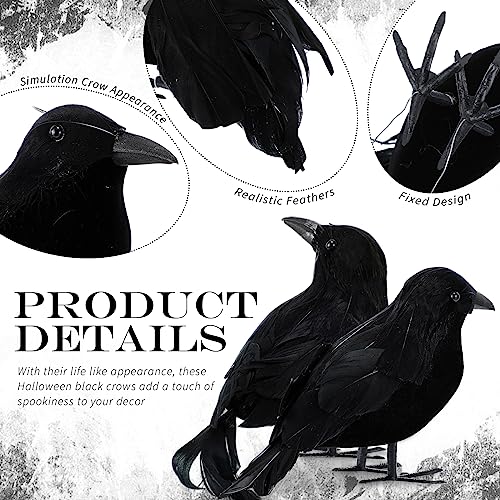 Halloween Black Feathered Crow Decor Set - Realistic Fake Raven Figures for Haunted House and Party Decorations