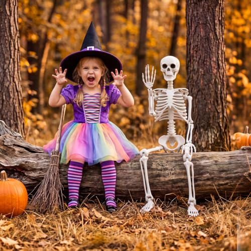3Ft Halloween Skeleton Decorations - Realistic Skull & Fully Posable for Indoor & Outdoor Use - Medium Variation