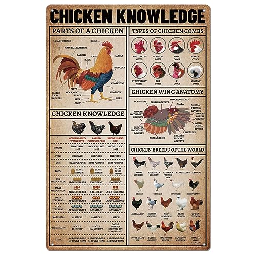 Farm Chicken Knowledge Tin Sign - Chicken Coop Metal Wall Decor - Farmhouse Kitchen & Living Room Wall Art - Variations of THIS listing