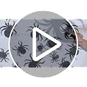 DIYASY 36-Piece Multicolor Halloween Lighted Spider Wall Decor - 3D Light Up Spider Set