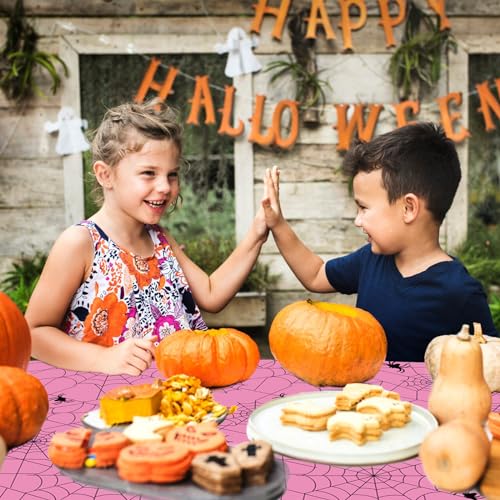 Pink Spider Web Plastic Tablecloth 54x108 Inch Halloween Party Decor - Spiderweb Design