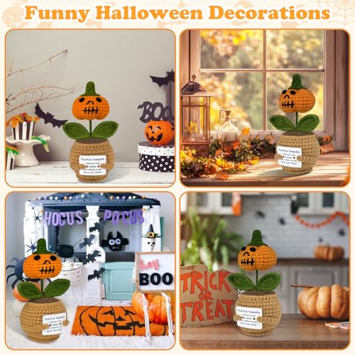 Crochet Pumpkin Planter - Funny Positive Halloween Fall Home Decor Gift