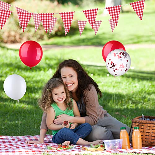 Gingham Party Supplies Set with Tablecloths Balloons & Flags - Red & White