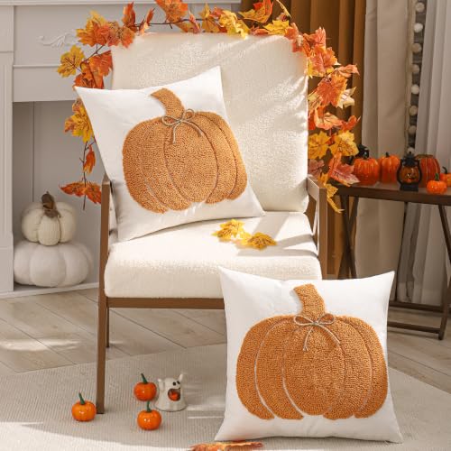 Halloween Pumpkin Throw Pillow Covers 18x18 Set of 2 - Orange Fall Decor