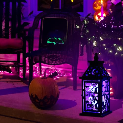 Halloween Indoor & Outdoor Lantern with Witch, Bat & Cat Variation - 14.9" Spooky Candle Decor with 82" LED Lights