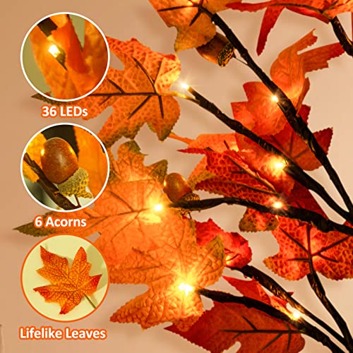 2-Pack 2FT Lighted Maple Tree Decor - Fall LED Thanksgiving Tabletop Lamp with 6 Acorns & Timer