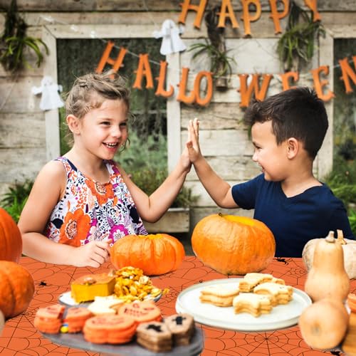 Multicolor Spiderweb Plastic Tablecloth Set - Halloween and Spooky Party Decor