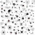 Halloween Spider Web Temporary Tattoos Kit - 178 Piece Face & Arm Stickers for Adults