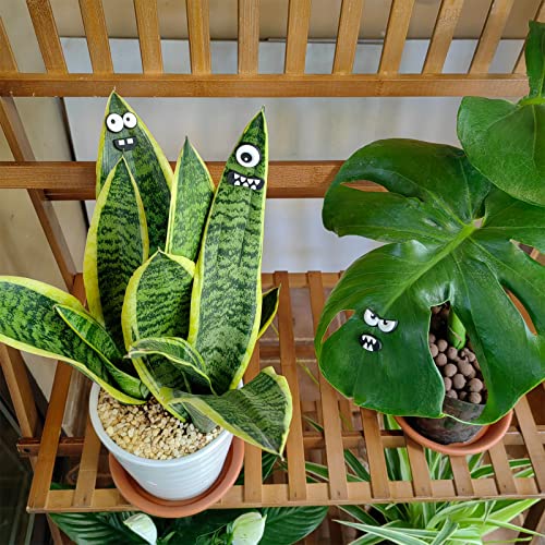 Monster Plant Magnets Eye - Funny Plant Lover Gift with Black-White Variation