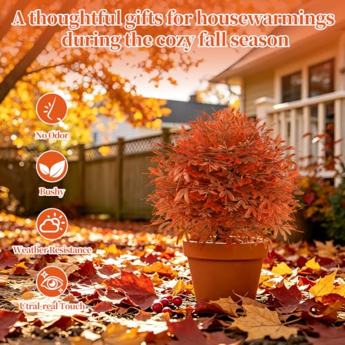 Fall Cedar Topiary Trees - Artificial Autumn Decor with Spike - 2 Pack