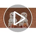 Halloween Ghost Dog Decor Set - Mummy & Pumpkin Figurines for Fall Home Decor