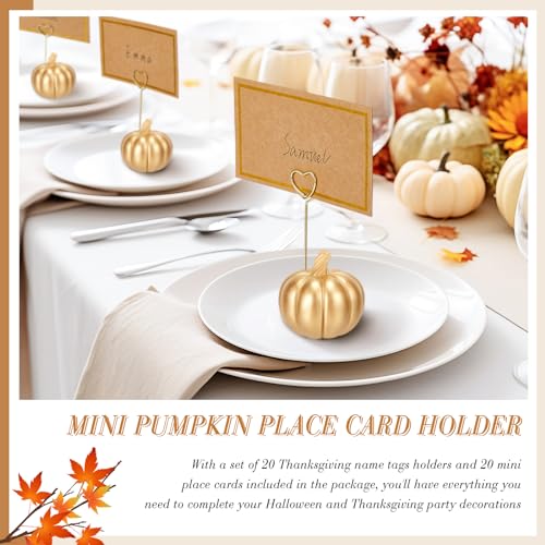 Gold 40 Pcs Thanksgiving Pumpkin Place Card Holders with Fall Cards - Rustic Table Decor