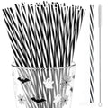Reusable Black and White Striped Drinking Straws - Set of 30 for Parties