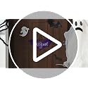 Bolisom Bat Shaped Door Sign - The Batroom Open 24 Hours, Purple Gothic Halloween