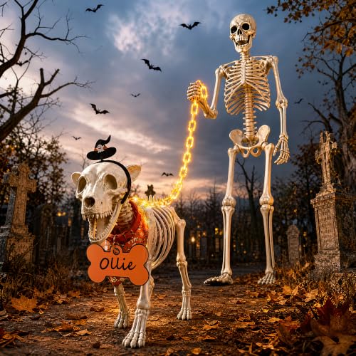 7Ft Skeleton Dog Costume Accessories Set - Orange Halloween Decor