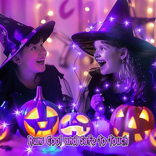 6 Pack Battery Operated Purple Fairy Lights for Halloween Decor