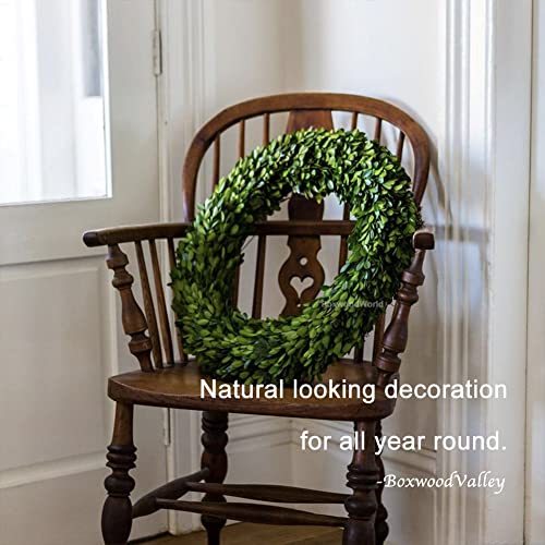 16 Inch Preserved Boxwood Wreath - Indoor Home Decor for Christmas & All Seasons - Green