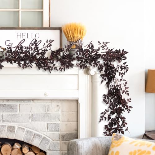 9 Ft Fall Garland with Plum Seeds for Halloween & Thanksgiving Decor - 2 Pack