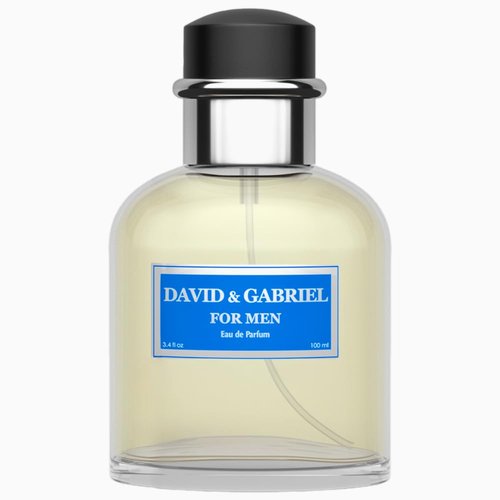 Sandora Fragrances Men's Perfume - Inspired by Iconic Scent | Fresh Grapefruit, Juniper & Oakmoss - 100 ml Eau De Parfum