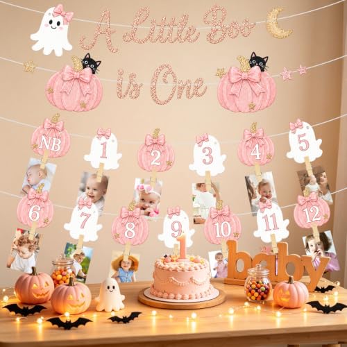 Pink Pumpkin Ghost First Birthday Photo Banner - Variation of THIS Listing