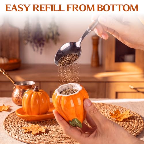 Fall Pumpkin Salt and Pepper Shaker Set with Tray - Ceramic, Variation of Pumpkin
