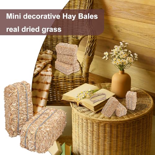 Mini Decorative Hay Bales & Twisted Hemp Rope Set for Fall Halloween Crafts & Rustic Decor