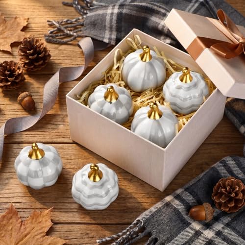DoubleFill White Checkered Stripe Ceramic Pumpkins Fall Centerpiece - Gray & White, 6 Pieces