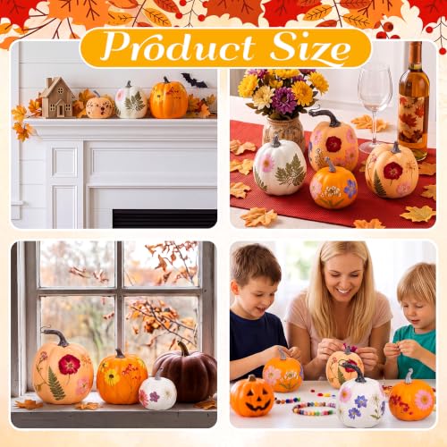 White Orange Foam Pumpkin DIY Kit with Dried Flowers - 12 Pumpkins & Accessories