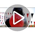 Red Black Glitter Triangle Pennant Banner Set - 32.8FT Outdoor Party Decorations