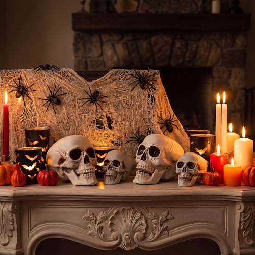 Halloween Human Skull Decor Set - Realistic Plastic Skeleton Models 8 Inch & 5.1 Inch - 4 Pieces
