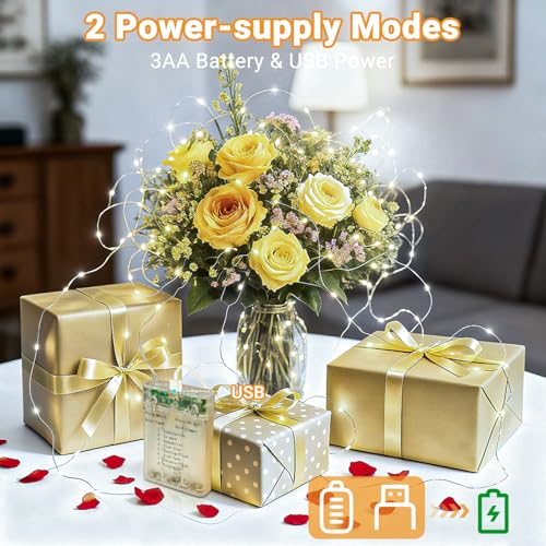 Cool White Fairy Lights Battery Operated 6 Pack 33FT 100LED USB & AA Powered Dimmable Indoor Wedding Decor