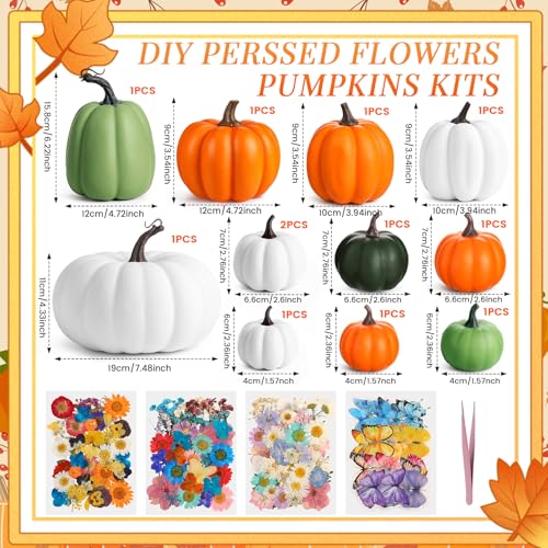 Fall Craft Pumpkin & Dried Flower DIY Kit - Orange White Green, 12 Pcs