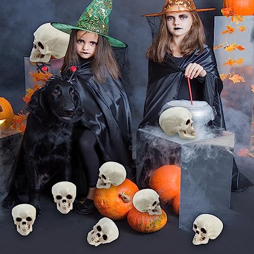 Halloween Skull Heads Decor - 8 Pieces Plastic Realistic Human Skeletons - 1.8 x 2 x 2.4 Inches