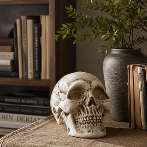 White Resin Skull Statue for Home Decor Gothic Halloween Ornament