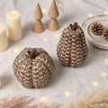 Brown Fall Pumpkin Decor Pack - Woven Resin Pumpkins for Indoor & Outdoor