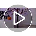 6FT Halloween Black Birch Tree with 288 Purple & Orange LED Lights, Waterproof Indoor Outdoor Decor