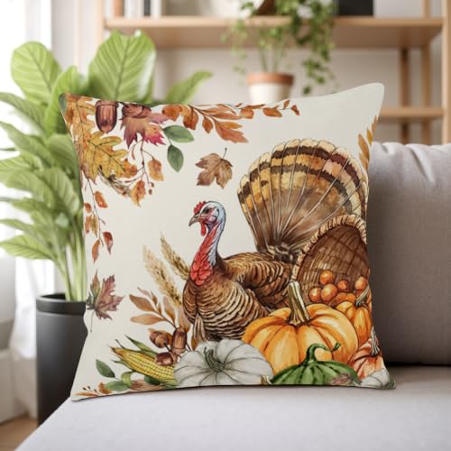 Thanksgiving Fall Turkey Outdoor Decorative Pillow Covers 18x18 Pack of 2 - Double-Sided Print
