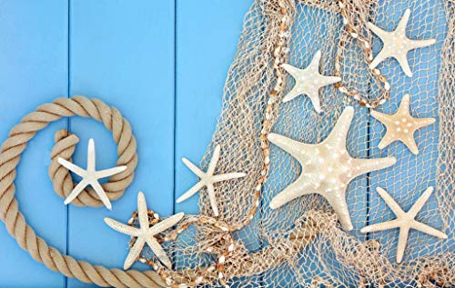 Large Blue Fish Net Wall Decoration with Colorful Sea Shells and Starfish - Mediterranean Nautical Style