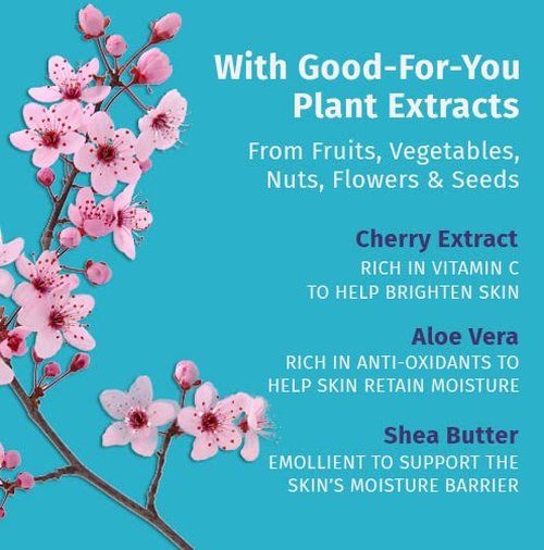 Hempz Body Lotion - Cherry Blossom Limited Edition Daily Moisturizing Cream, Shea Butter, Aloe, Cherry Extract Hand and Body Moisturizer - Skin Care Products, Hemp Seed Oil - 17 Fl Oz