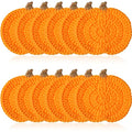 Irenare 12 Pack Fall Crochet Pumpkin Coasters Halloween Thanksgiving Decor